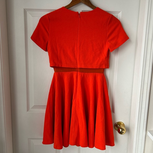 Asis petite fit and flair dress - Picture 2 of 2